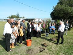 Boomplanting vir simbolisering van Kerkeenheid