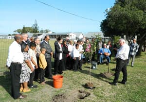 Boomplanting vir simbolisering van Kerkeenheid