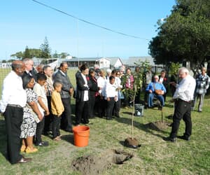 Boomplanting vir simbolisering van Kerkeenheid