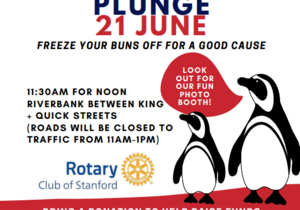 Stanford Penguin Plunge 2025: Charity River Dip