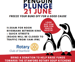 Stanford Penguin Plunge 2025: Charity River Dip