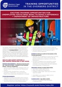 Exciting Training Opportunities for Unemployed Youth