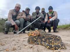 Grootbos Rangers in Action