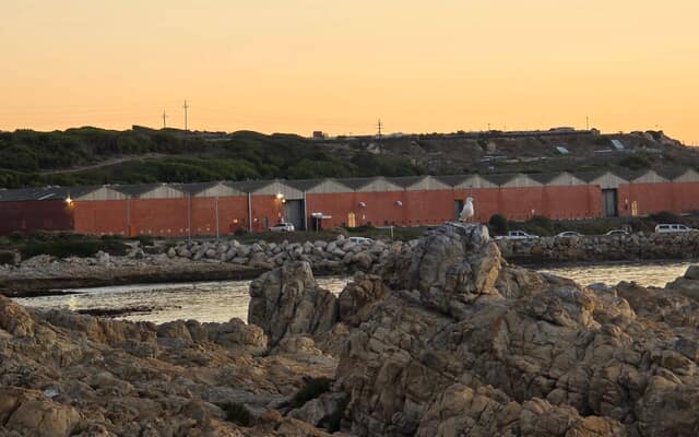 505041412_122189259110283540_8078904488842099579_n_1749549170 505041412_122189259110283540_8078904488842099579_n_1749549170