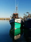 Terrific Tuesday: GGAP Returns to Brighten Gansbaai!