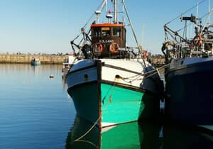 Terrific Tuesday: GGAP Returns to Brighten Gansbaai!