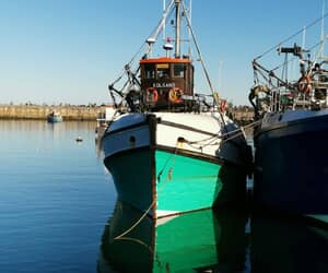 Terrific Tuesday: GGAP Returns to Brighten Gansbaai!