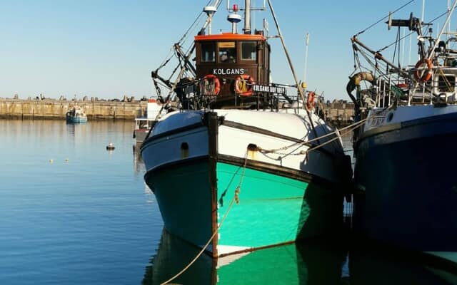 505731650_122189259152283540_2237525091689439381_n_1749549171 505731650_122189259152283540_2237525091689439381_n_1749549171