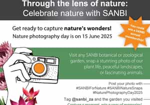 Capture the Beauty of Nature with SANBI