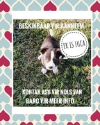 Adopt Me - Little Boy Needs Love