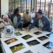 The Beauty Captured by Camera Traps