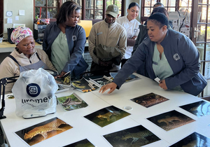 The Beauty Captured by Camera Traps