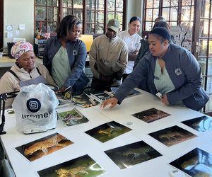 The Beauty Captured by Camera Traps
