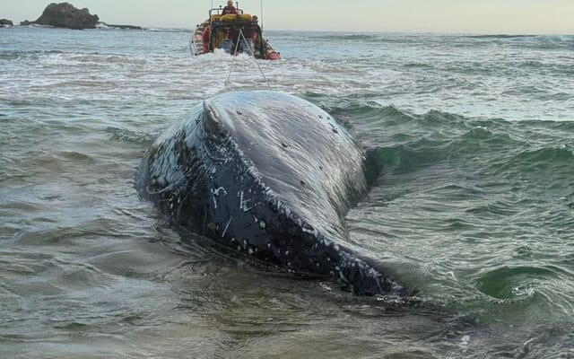 Image_2_1749816582 Image_2_1749816582