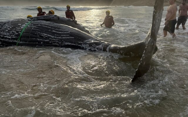 Image_3_1749816582 Image_3_1749816582