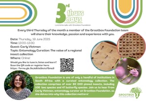 Discover the World of Insects with Carly Vlotman