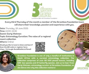 Discover the World of Insects with Carly Vlotman