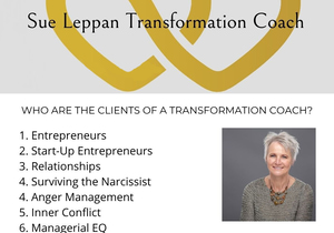 Who Works with a Transformation Coach?