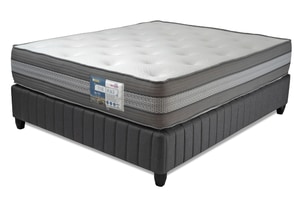 Buy Rest Assured The Duke Mattress