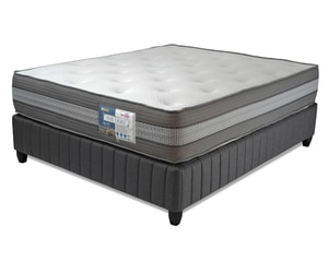 Buy Rest Assured The Duke Mattress