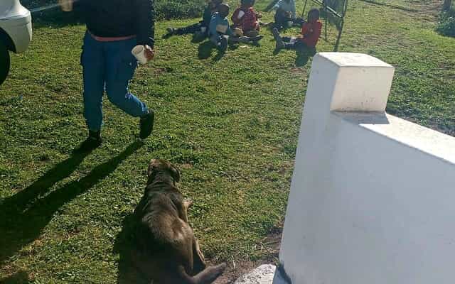 WhatsApp_Image_2025_06_18_at_07.27.06_1750226988