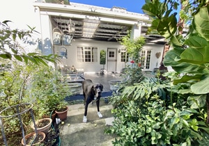 6 Bedroom House For Sale in Stanford: R6,500,000