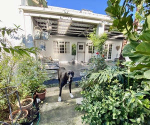 6 Bedroom House For Sale in Stanford: R6,500,000