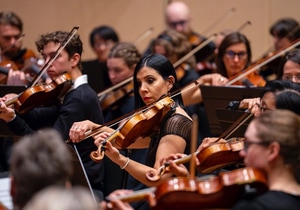 The Grand Garden Gala - Don’t Miss It!