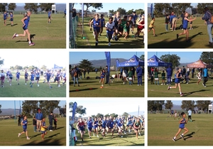 Sportprestasies van Gansies