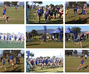 Sportprestasies van Gansies