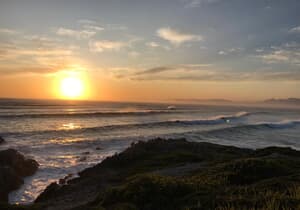 Experience Whale Season in Gansbaai at Calamari Self-Catering