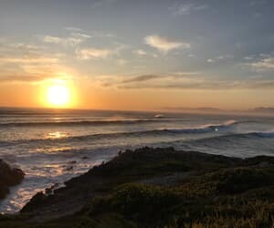 Experience Whale Season in Gansbaai at Calamari Self-Catering