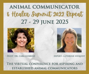 Animal Communicator and Healer Summit 2022 Repeat