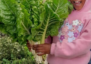 i-MED Gardens Support Kids’ Health