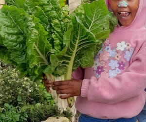 i-MED Gardens Support Kids’ Health
