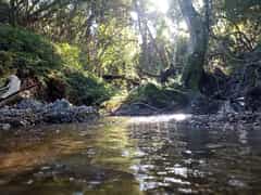 Greetings from Grootbos Private Nature Reserve!