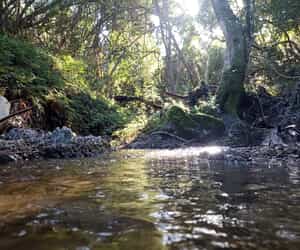 Greetings from Grootbos Private Nature Reserve!