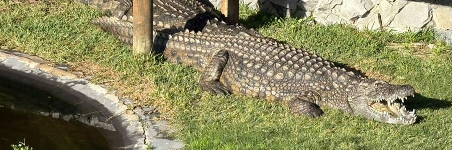 WhatsApp_Image_2025_06_27_at_13.59.31_1751264588