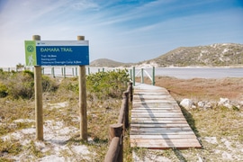 Damara Trail wins silver award