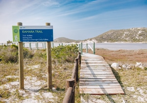 Damara Trail wins silver award