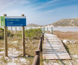 Damara Trail wins silver award