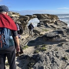 Die Plaat "Mooi Klip" De Kelders - Calamari Self-Catering - Xplorio™ Gansbaai Die Plaat "Mooi Klip" De Kelders - Calamari Self-Catering - Xplorio™ Gansbaai