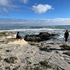 "Die Plaat" De Kelders - walk along the shore with stunning fauna and Flora - Calamari Self-Catering - Xplorio™ Gansbaai "Die Plaat" De Kelders - walk along the shore with stunning fauna and Flora - Calamari Self-Catering - Xplorio™ Gansbaai