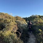 De Kelders paths in full bloom during winter - Calamari Self-Catering - Xplorio™ Gansbaai De Kelders paths in full bloom during winter - Calamari Self-Catering - Xplorio™ Gansbaai