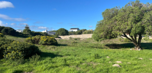 1172 m² Residential Vacant Land for Sale in Pearly Beach - R595,000