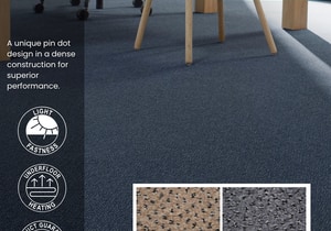 Designer Collection: Freeway