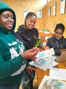 Sour Fig - Nature’s Skin Remedy!