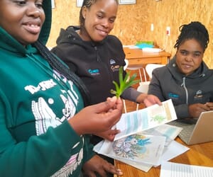 Sour Fig - Nature’s Skin Remedy!