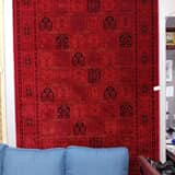 514252694_1182879143639348_2085159016603502495_n_1__1751442586