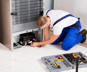 Kitchen Appliance Repairs